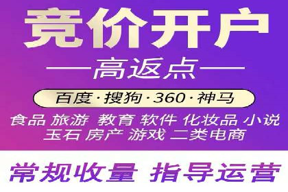 SEM推广案例：打造高效广告投放策略