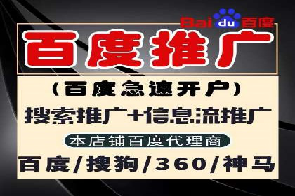 竞价推广的创意广告文案：从构思到执行的完整案例